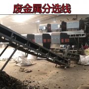 廢金屬分選線日產量在50噸左右